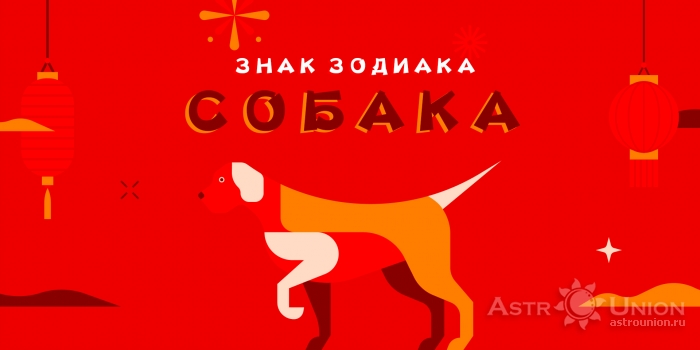 Собака – доброта, честность и принципиальность