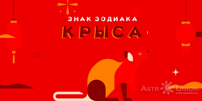 Крыса трудолюбива от природы